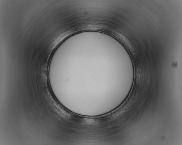 X0000090410794200708031041