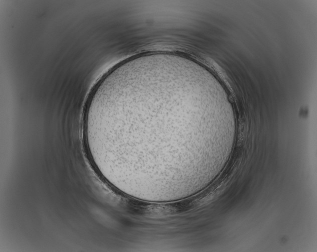 X0000090410795200708031041