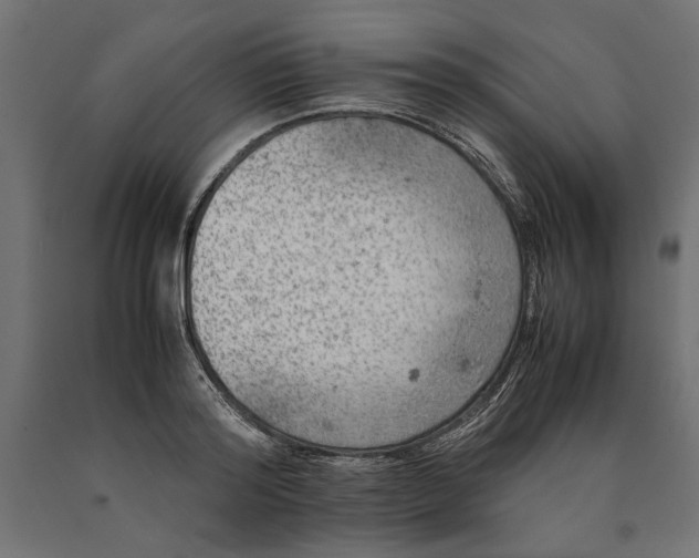 X0000090410796200708031041