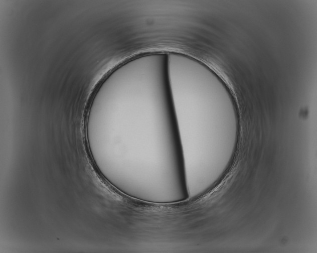 X0000090410797200708031041