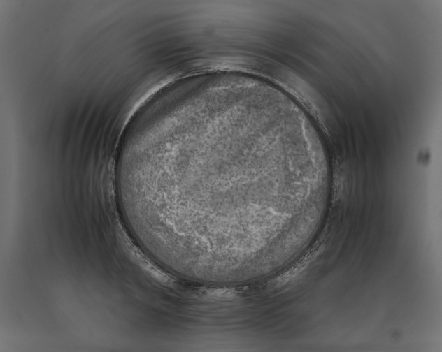 X0000090410798200708031041