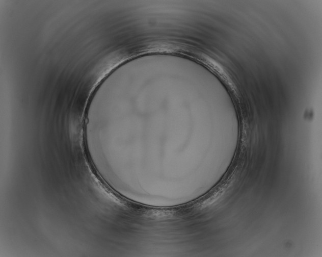 X0000090410802200708031041