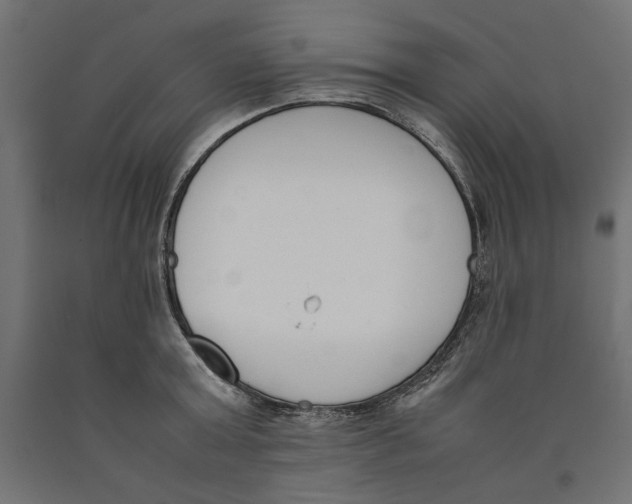 X0000090410803200708031041