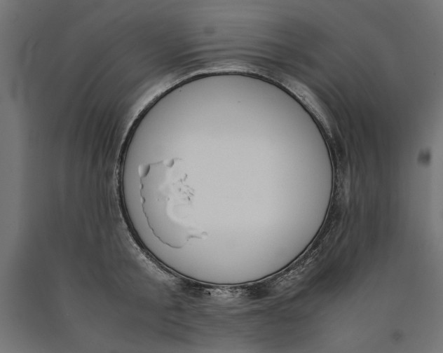 X0000090410805200708031041