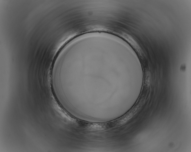 X0000090410806200708031041