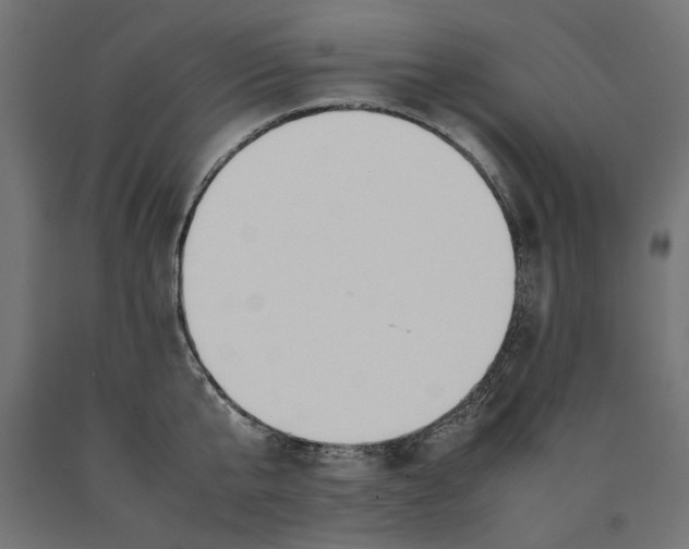 X0000090410807200708031041