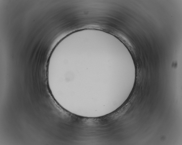 X0000090410808200708031041