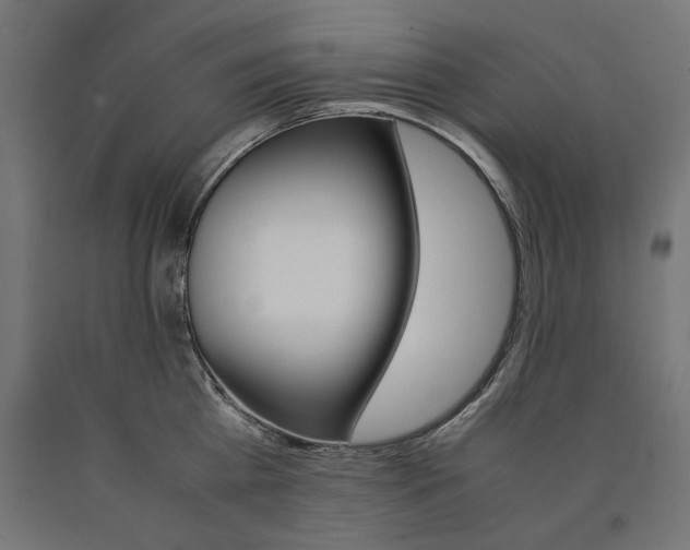 X0000090410809200708031041
