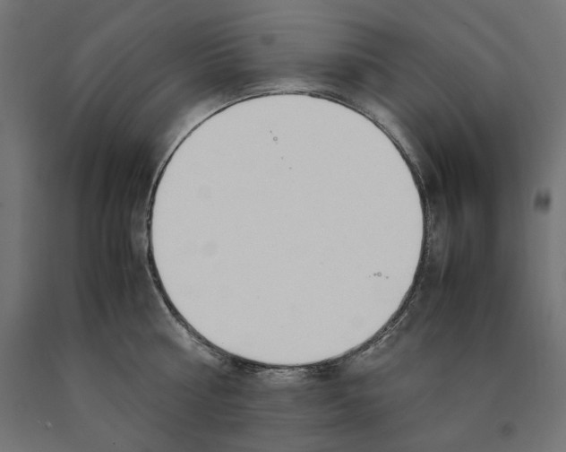 X0000090410810200708031041