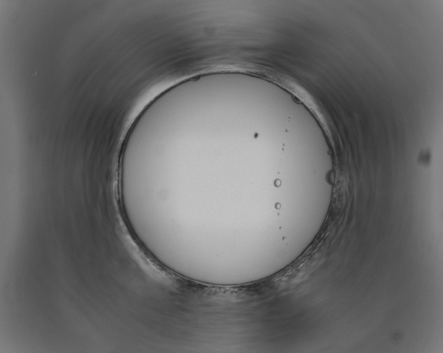 X0000090410811200708031041
