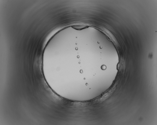 X0000090410812200708031041