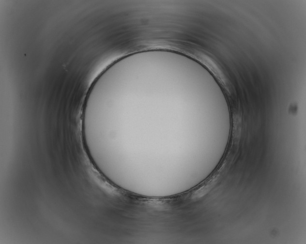 X0000090410814200708031041