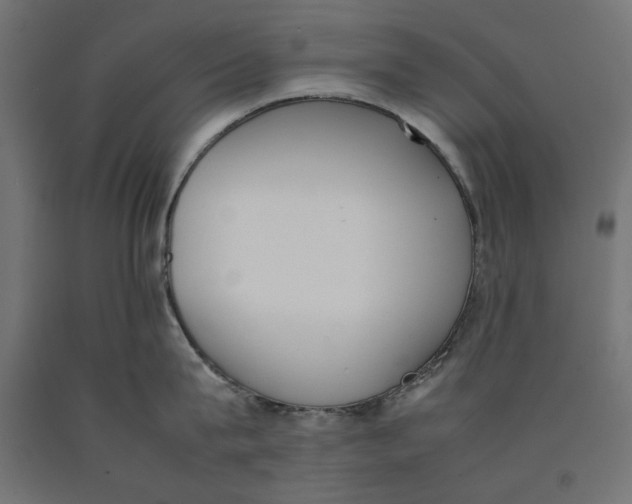 X0000090410815200708031041