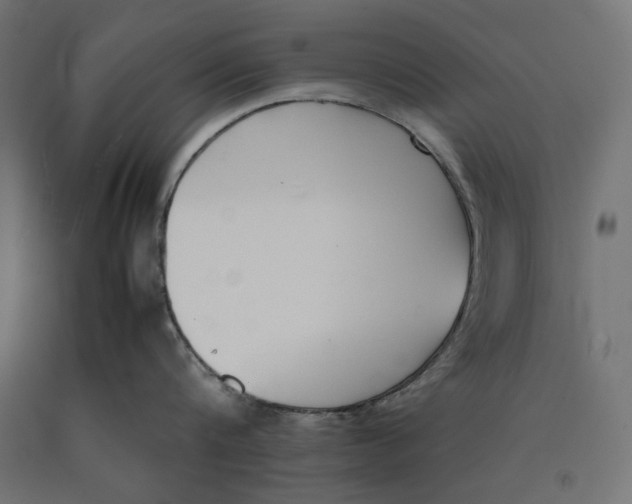 X0000090410816200708031041