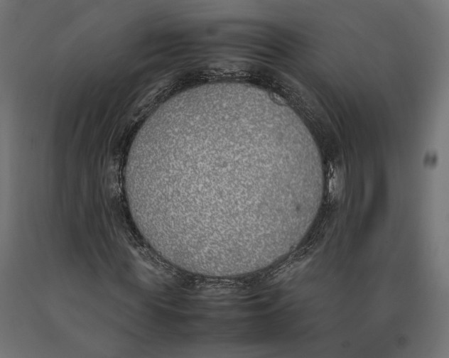 X0000090410819200708031040