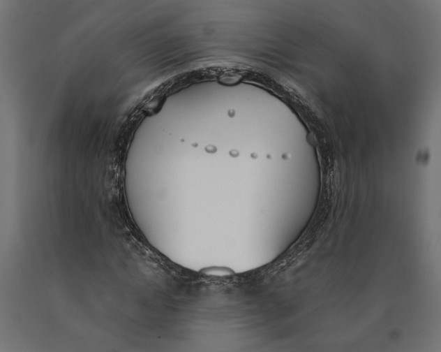 X0000090410822200708031040