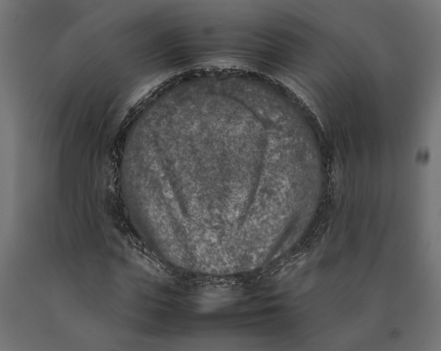X0000090410823200708031040