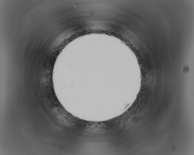 X0000090410824200708031040