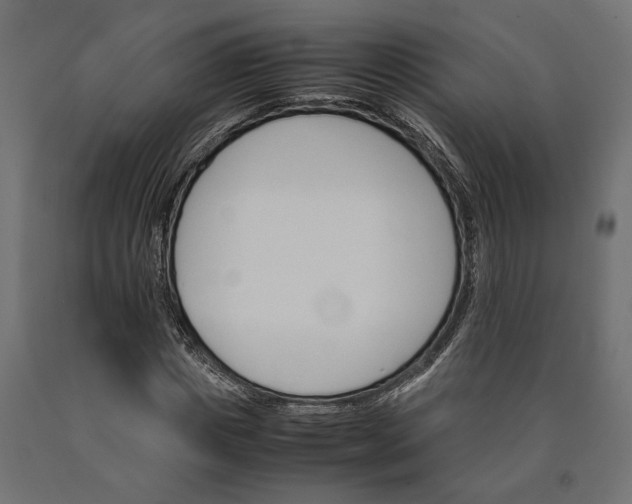X0000090410825200708031040