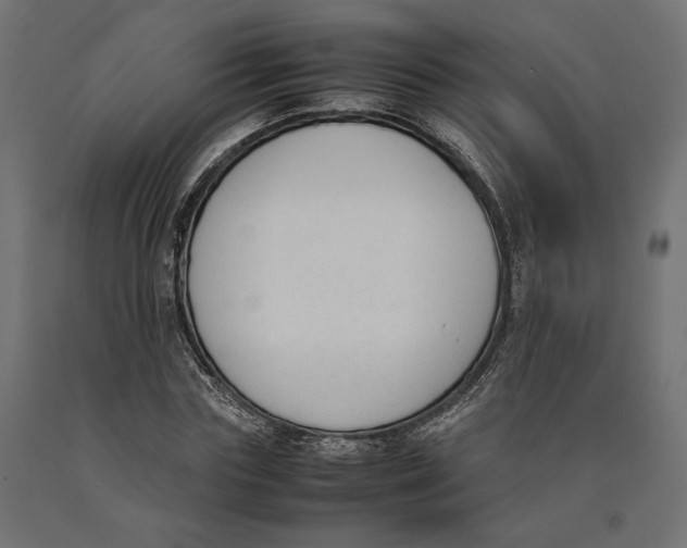 X0000090410827200708031040