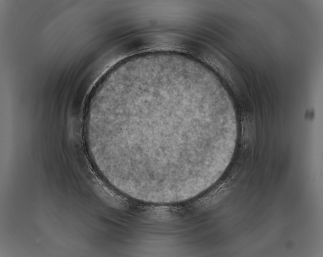 X0000090410828200708031040