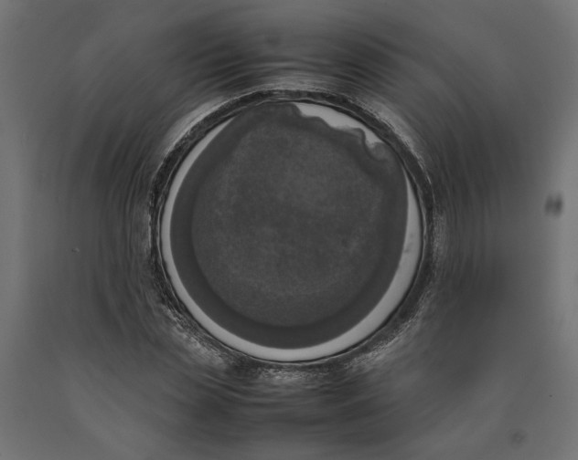 X0000090410829200708031040