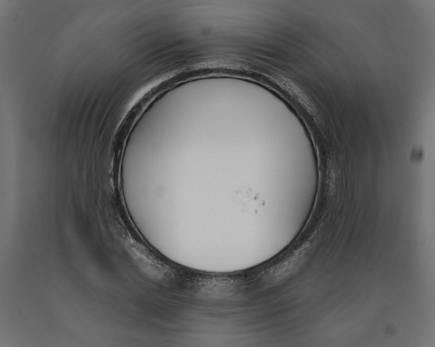 X0000090410830200708031040