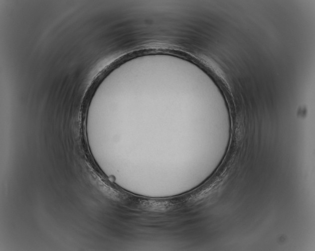 X0000090410831200708031040
