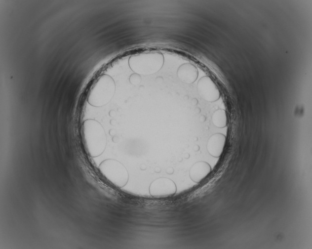 X0000090410832200708031040