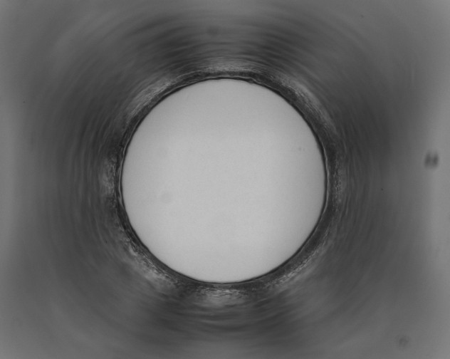 X0000090410833200708031040