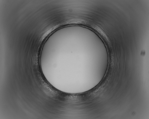 X0000090410834200708031040