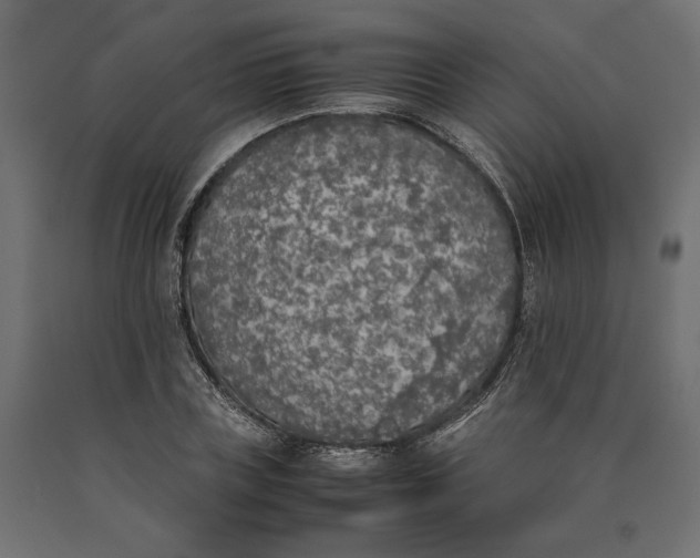 X0000090410835200708031040
