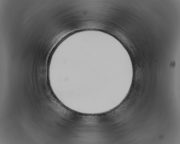 X0000090410836200708031040