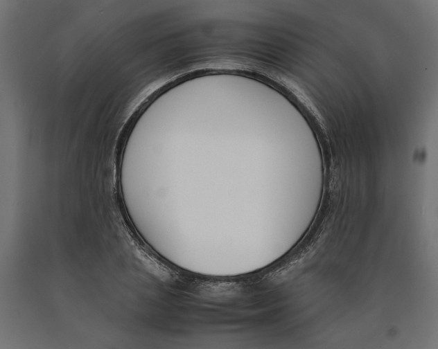 X0000090410837200708031040