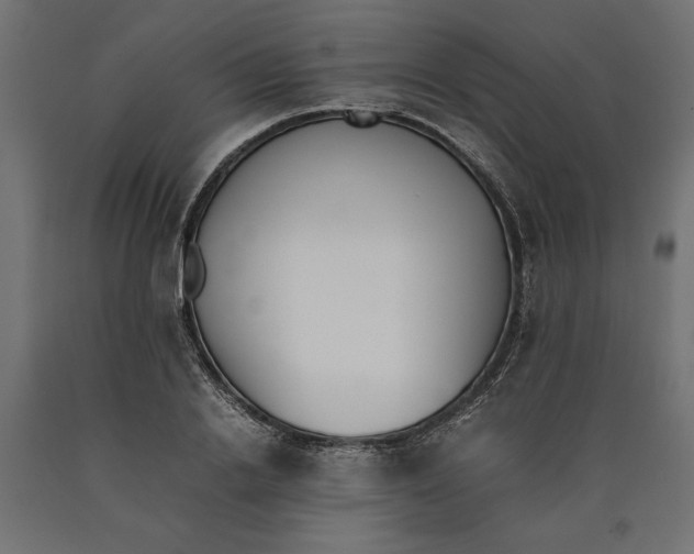 X0000090410838200708031040