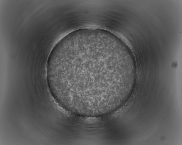 X0000090410839200708031040