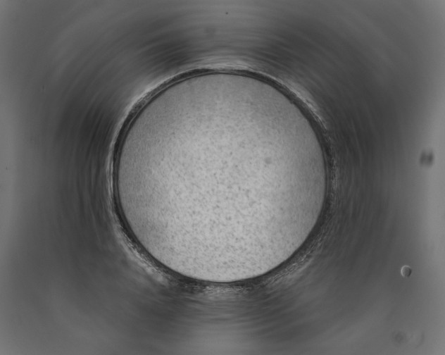 X0000090410840200708031040