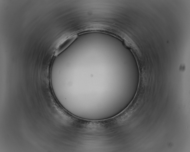 X0000090410842200708031040