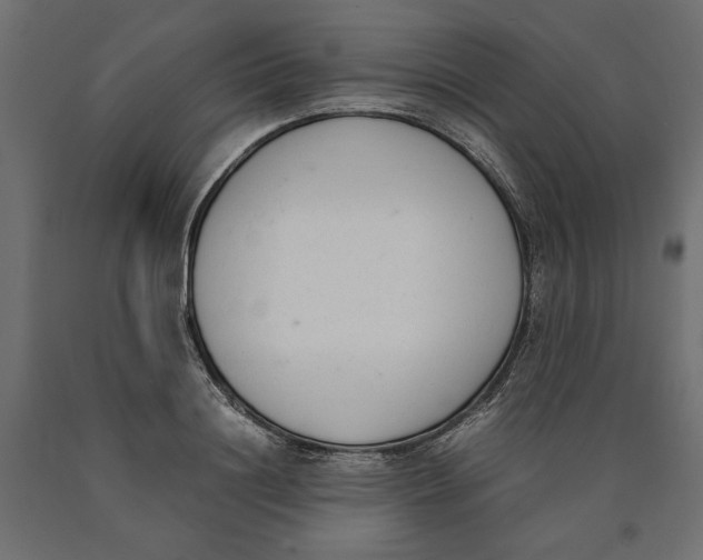 X0000090410844200708031040