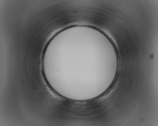X0000090410845200708031040
