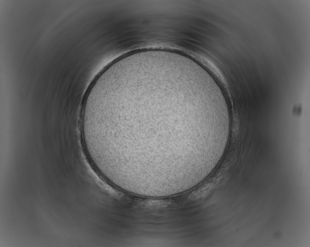X0000090410847200708031040