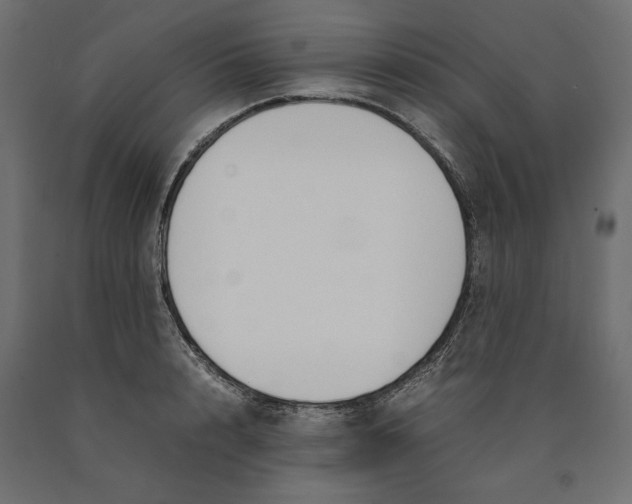 X0000090410848200708031040