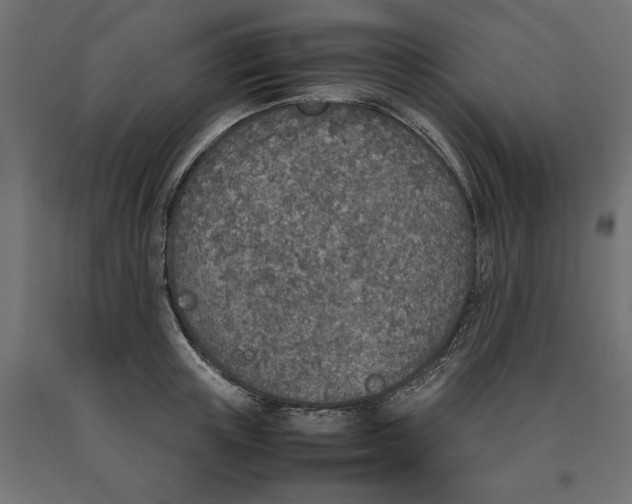 X0000090410851200708031040