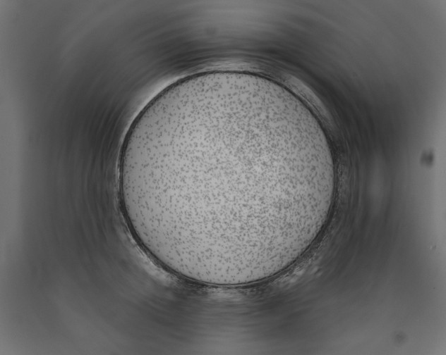 X0000090410852200708031040