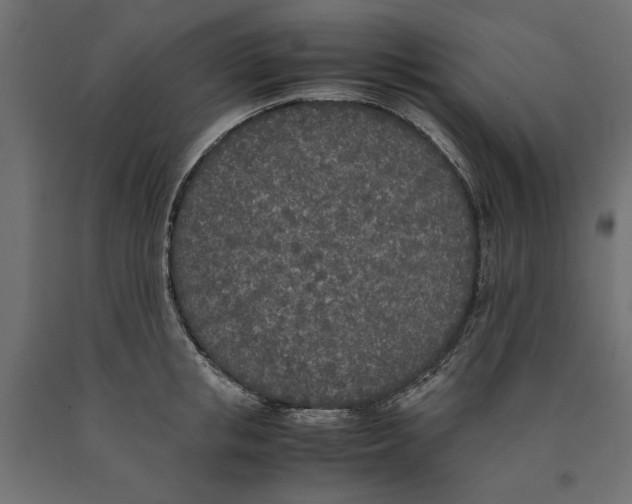 X0000090410853200708031040