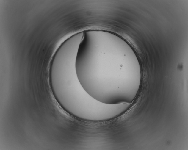 X0000090410854200708031040
