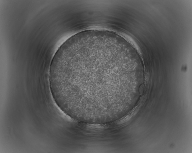 X0000090410855200708031041