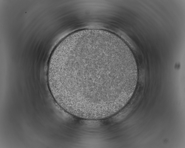 X0000090410856200708031041