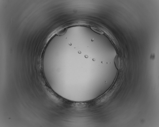 X0000090410858200708031041