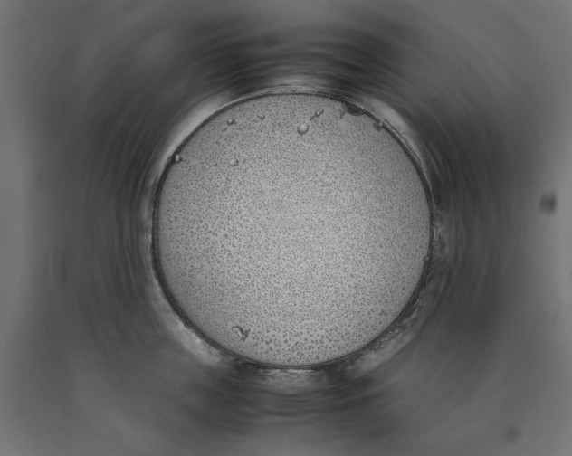 X0000090410859200708031041